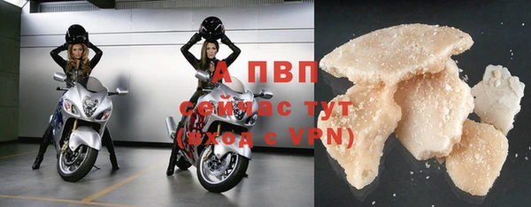 PSILOCYBIN Нязепетровск