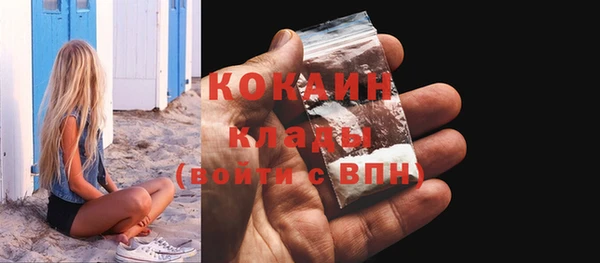 PSILOCYBIN Нязепетровск