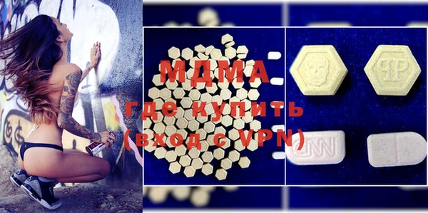 PSILOCYBIN Алзамай