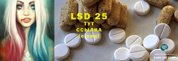 PSILOCYBIN Нязепетровск