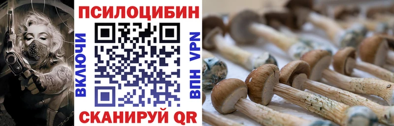 Галлюциногенные грибы GOLDEN TEACHER  Тавда 