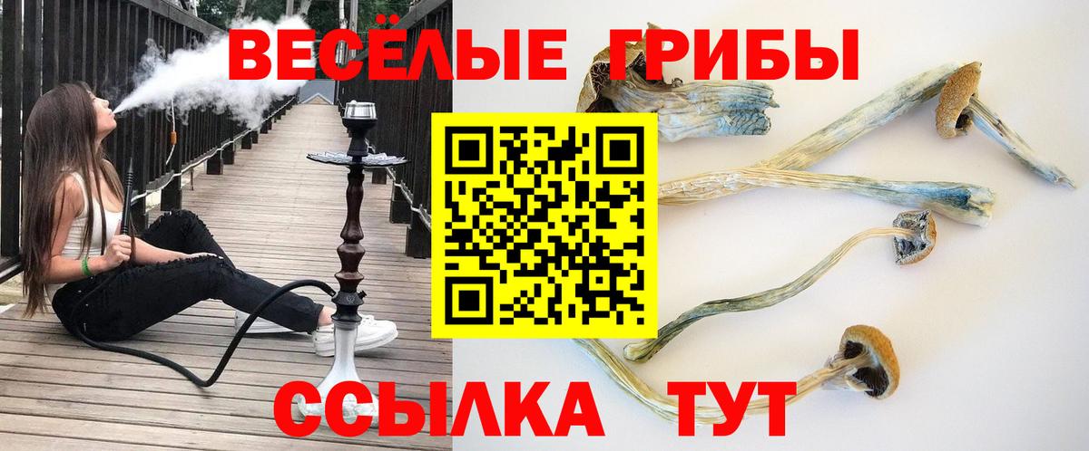 Тавда  Псилоцибиновые грибы мухоморы  Вход с VPN 
