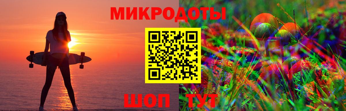 купить   Тавда  Галлюциногенные грибы Psilocybe 